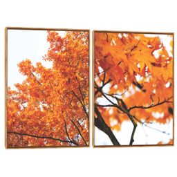 Quadro Decorativo Composição Duplo Folhas De Outono I