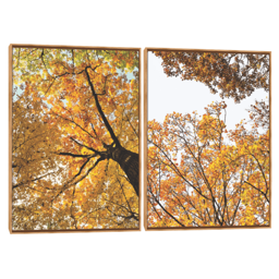 Quadro Decorativo Composição Duplo Folhas De Outono II