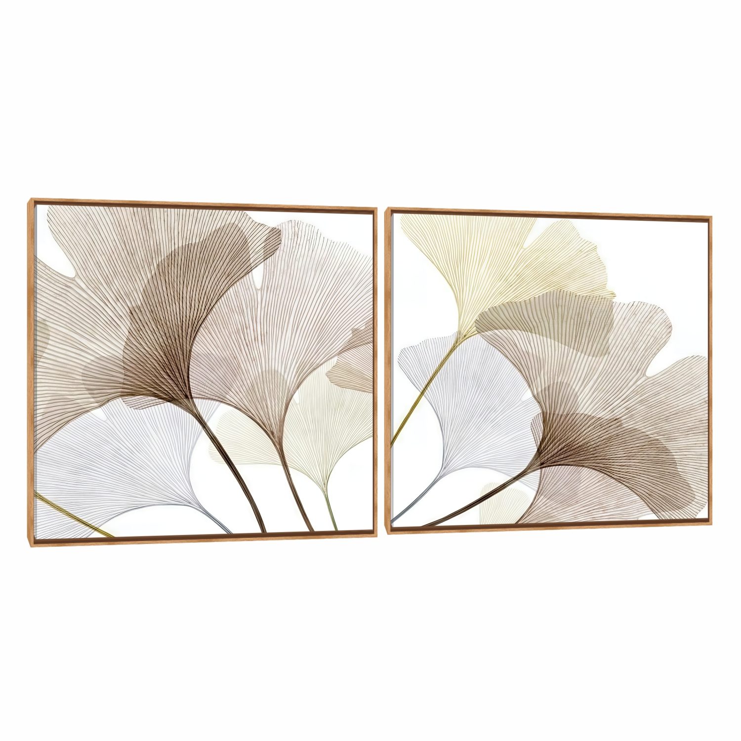 Quadro Decorativo Composição Duplo Folha Leque Suave