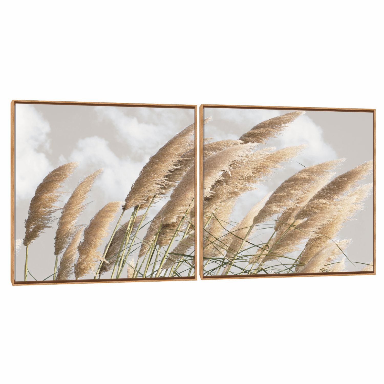 Quadro Decorativo Composição  Duplo Penas Ao Vento
