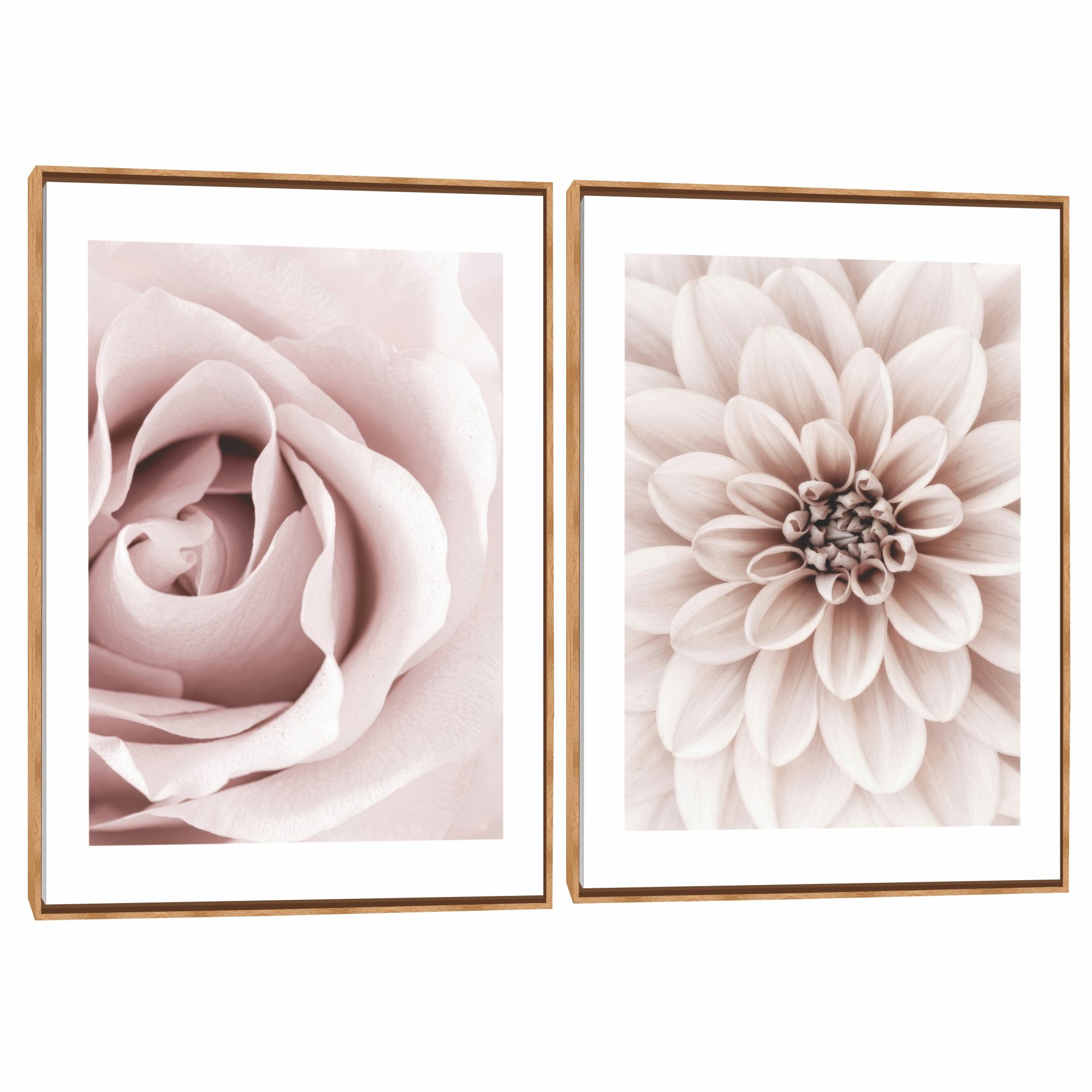 Quadro Decorativo Composição Duplo Rosa Suave