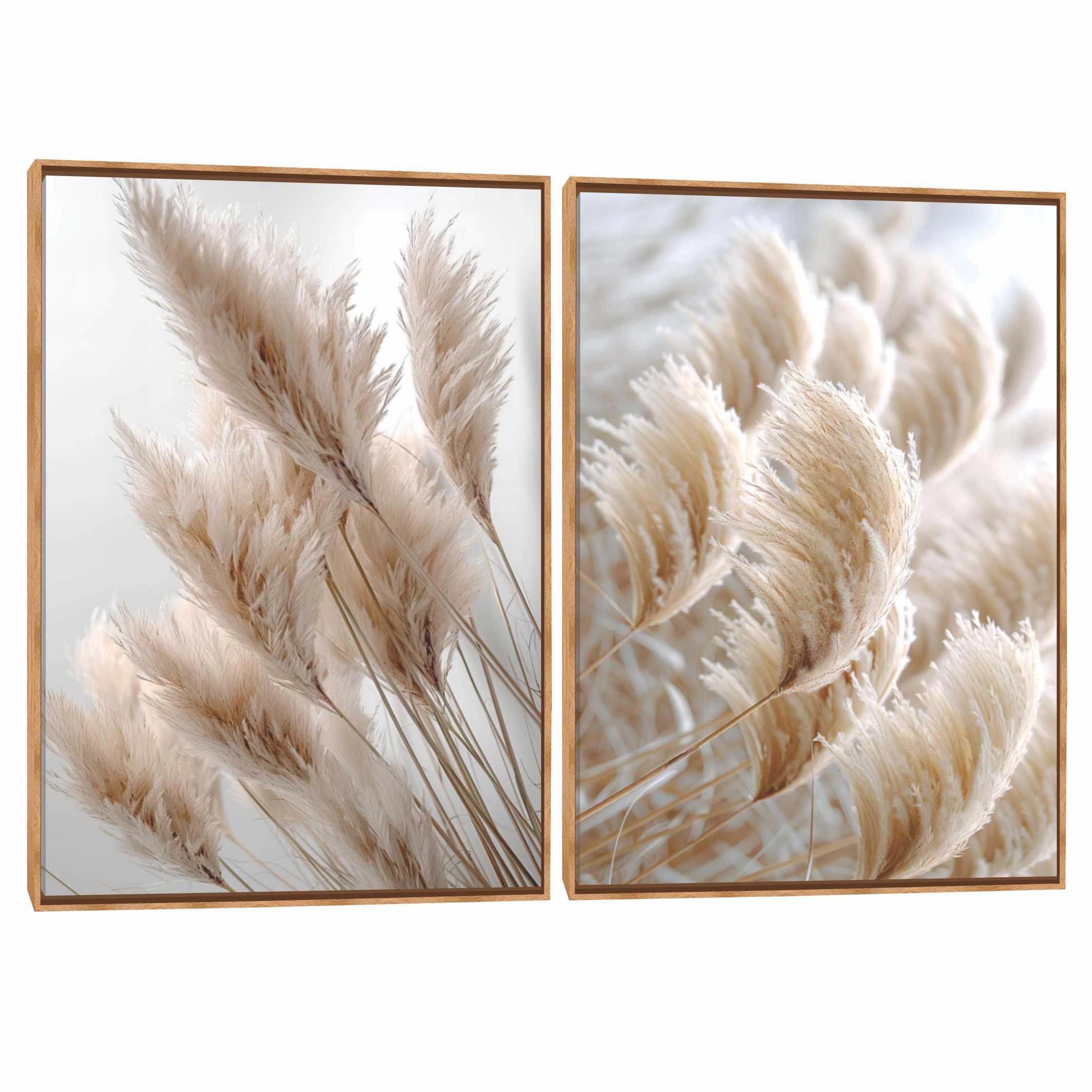 Quadro Decorativo Composição Duplo Plumas I
