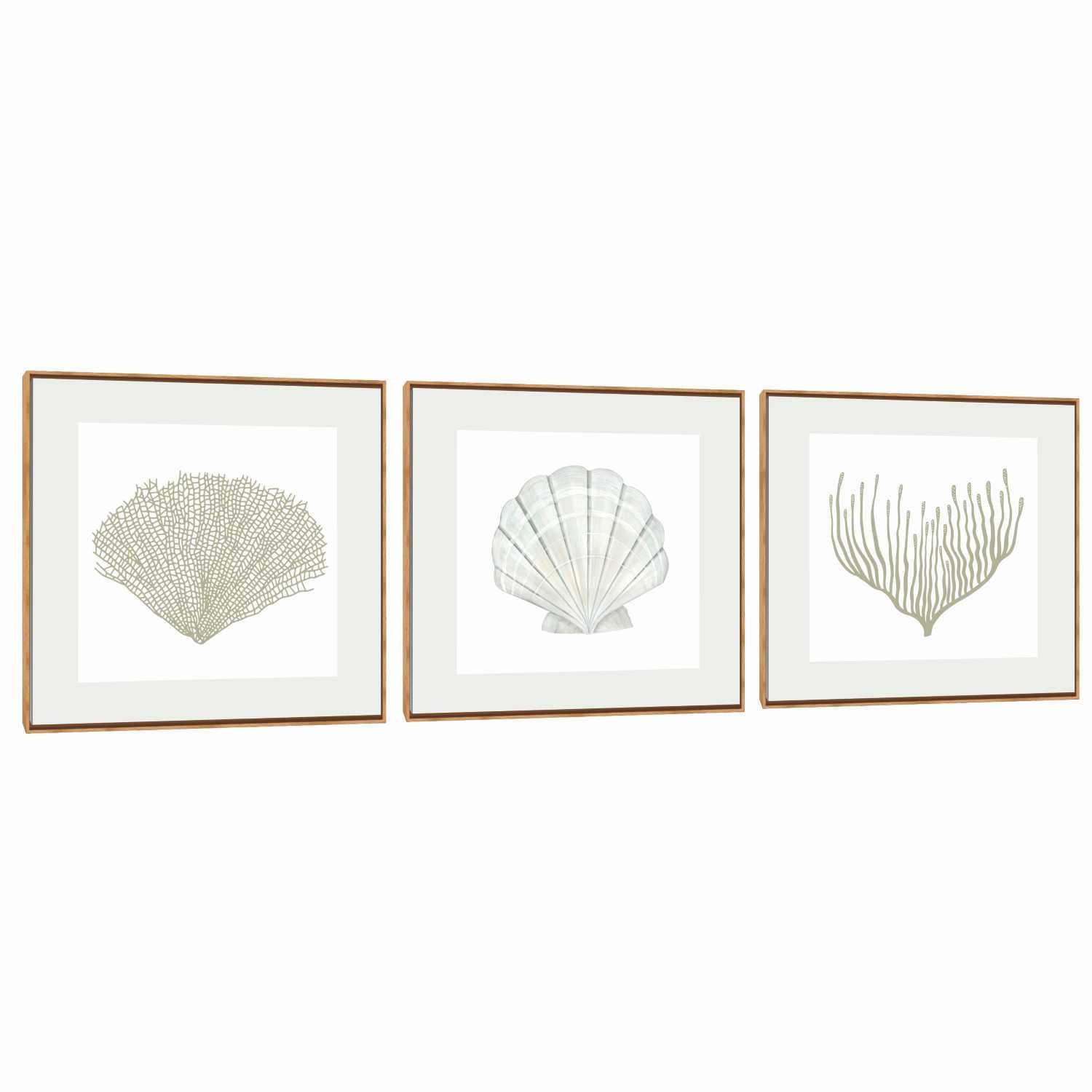 Quadro Decorativo Composição Trio Conchas