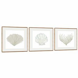 Quadro Decorativo Composição Trio Conchas
