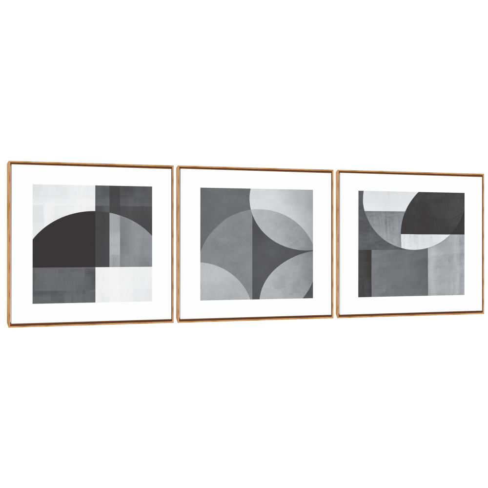 Quadro Decorativo Composição Trio Efeito P e B