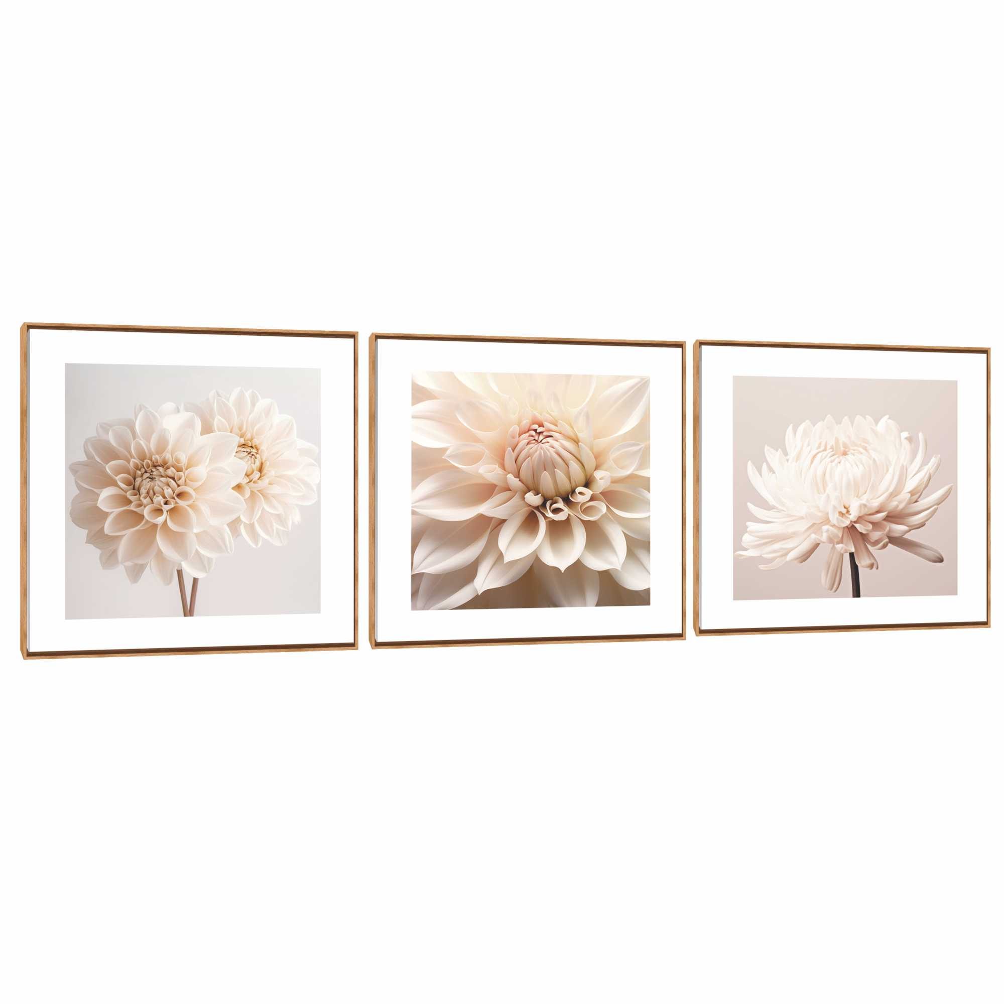 Quadro Decorativo Composição Trio Geranio Suave 
