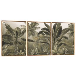 Quadro Decorativo Composição Trio Tropical Chic