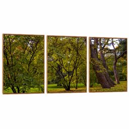 Quadro Decorativo Composição Trio Serie Árvore I