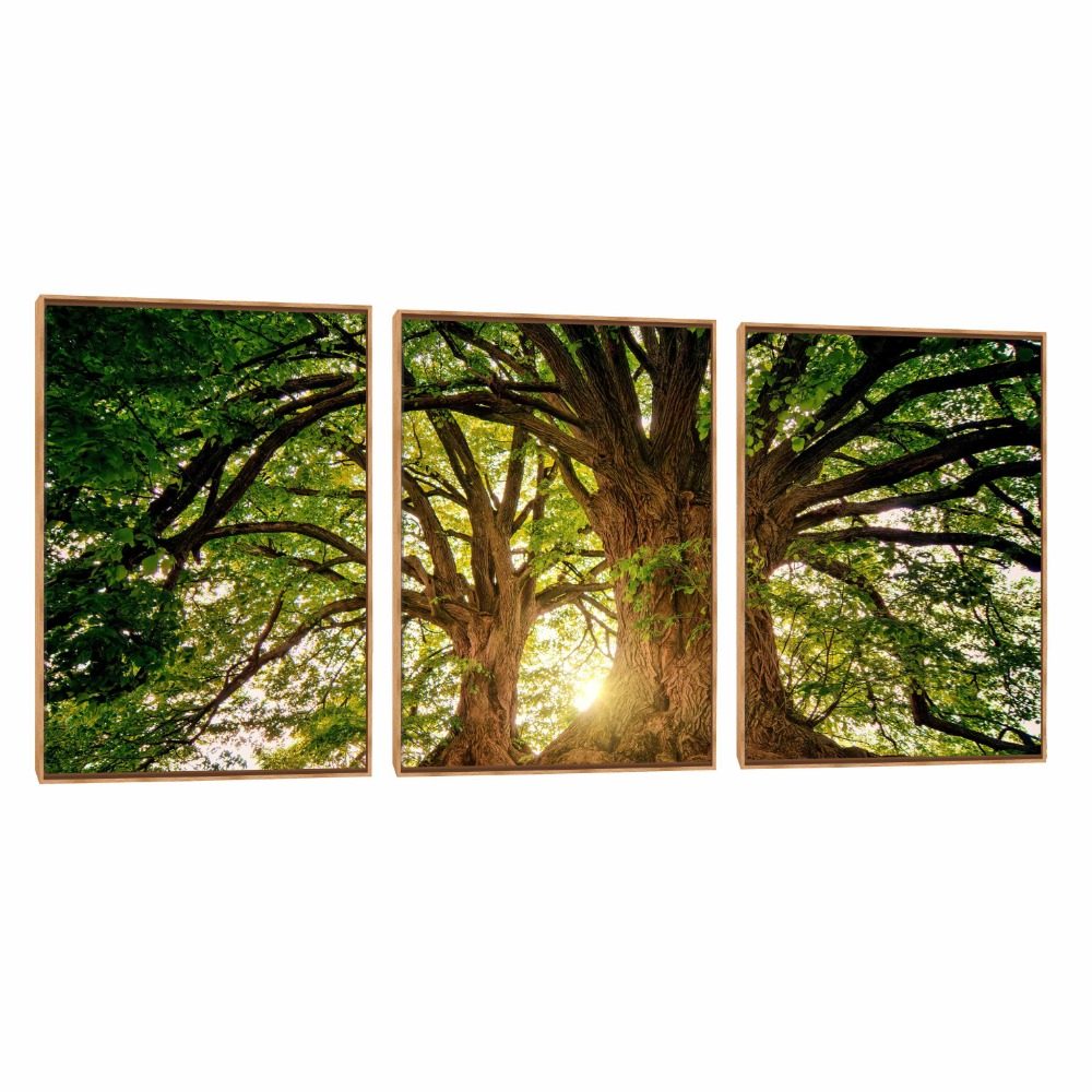 Quadro Decorativo Composição Trio 41