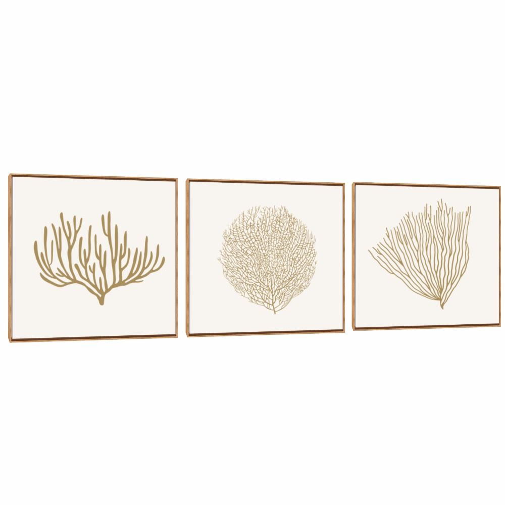 Quadro Decorativo Composição Trio Algas Natural 