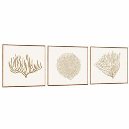 Quadro Decorativo Composição Trio Algas Natural