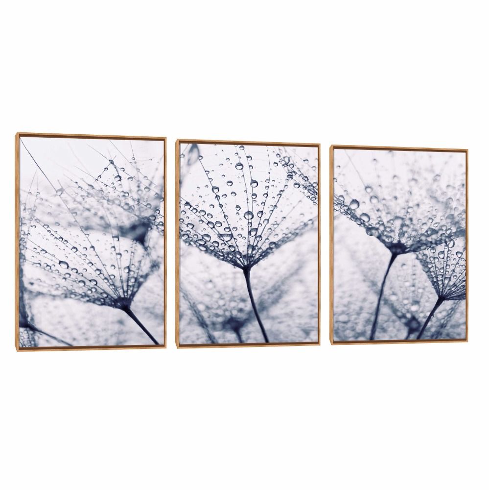 Quadro Decorativo Composição Trio Dente de Leão XIV