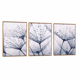 Quadro Decorativo Composição Trio Dente de Leão XIV