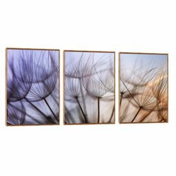 Quadro Decorativo Composição Trio Dente de Leão XV