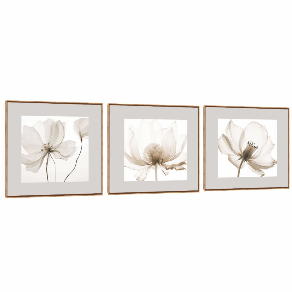 Quadro Decorativo Composição Trio Flor Cristal 